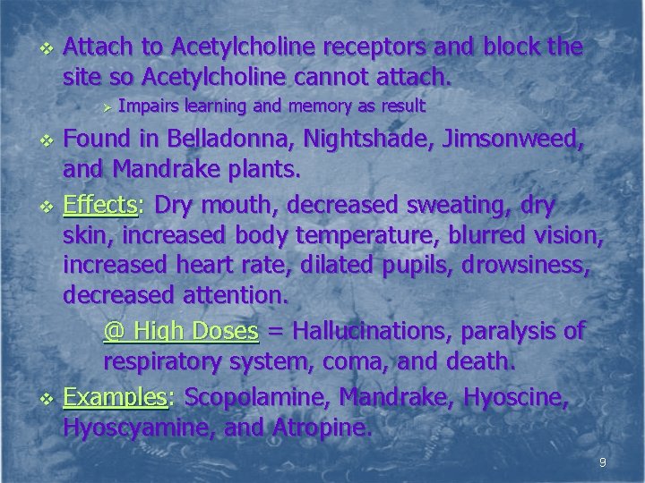 v Attach to Acetylcholine receptors and block the site so Acetylcholine cannot attach. Ø