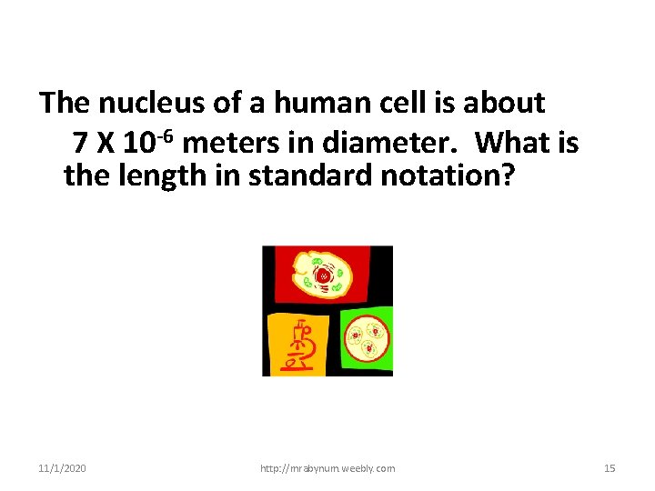 The nucleus of a human cell is about 7 X 10 -6 meters in The nucleus of a human cell is about 7 X 10 -6 meters in