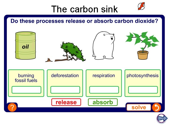 The carbon sink 