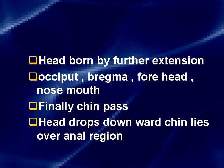 q. Head born by further extension qocciput , bregma , fore head , nose