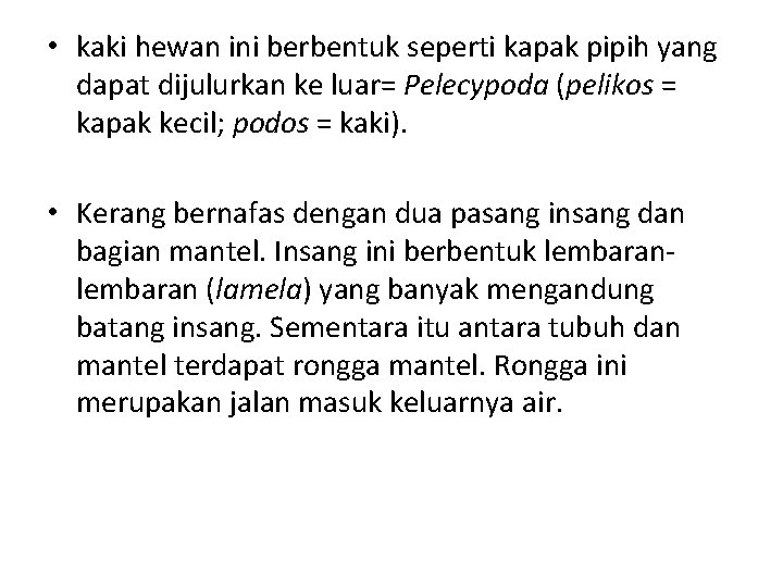  • kaki hewan ini berbentuk seperti kapak pipih yang dapat dijulurkan ke luar=