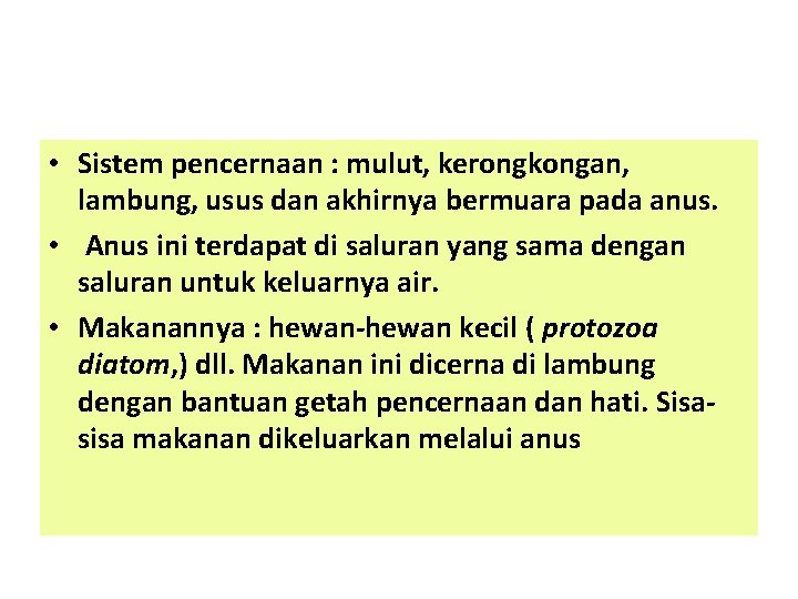  • Sistem pencernaan : mulut, kerongkongan, lambung, usus dan akhirnya bermuara pada anus.