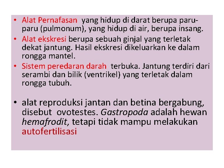  • Alat Pernafasan yang hidup di darat berupa paru (pulmonum), yang hidup di