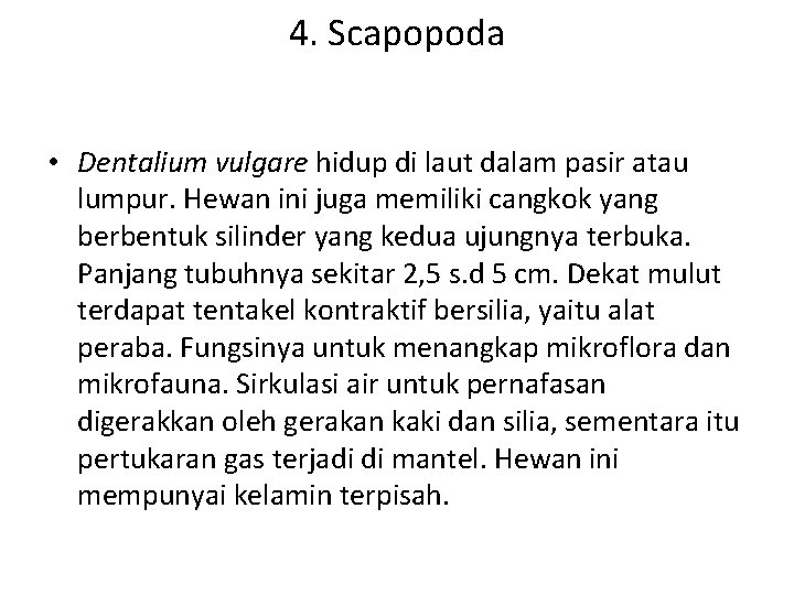 4. Scapopoda • Dentalium vulgare hidup di laut dalam pasir atau lumpur. Hewan ini