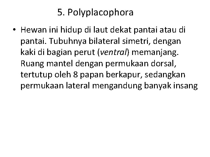 5. Polyplacophora • Hewan ini hidup di laut dekat pantai atau di pantai. Tubuhnya