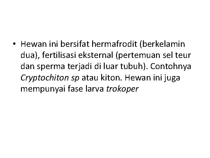  • Hewan ini bersifat hermafrodit (berkelamin dua), fertilisasi eksternal (pertemuan sel teur dan