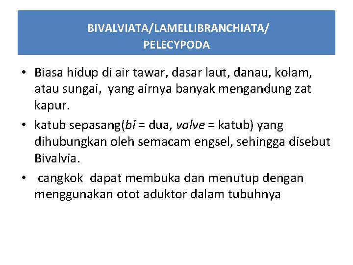BIVALVIATA/LAMELLIBRANCHIATA/ PELECYPODA • Biasa hidup di air tawar, dasar laut, danau, kolam, atau sungai,