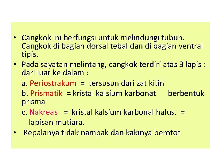  • Cangkok ini berfungsi untuk melindungi tubuh. Cangkok di bagian dorsal tebal dan