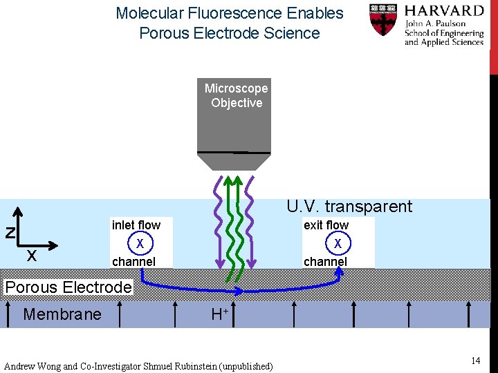 Molecular Fluorescence Enables Porous Electrode Science Microscope Objective U. V. transparent z x inlet