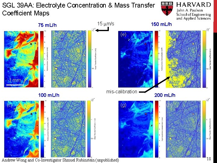 SGL 39 AA: Electrolyte Concentration & Mass Transfer Coefficient Maps 75 m. L/h (a)