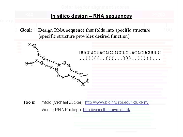 In silico design – RNA sequences Goal: Tools: Design RNA sequence that folds into