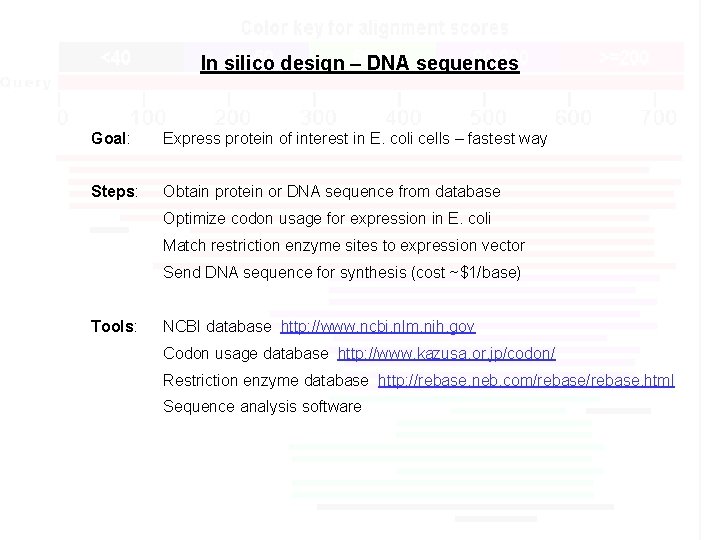 In silico design – DNA sequences Goal: Express protein of interest in E. coli