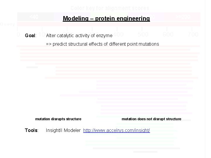 Modeling – protein engineering Goal: Alter catalytic activity of enzyme => predict structural effects