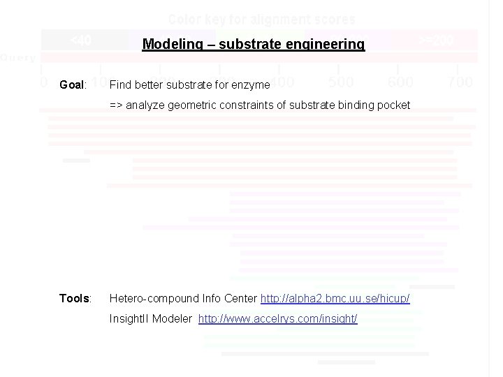 Modeling – substrate engineering Goal: Find better substrate for enzyme => analyze geometric constraints