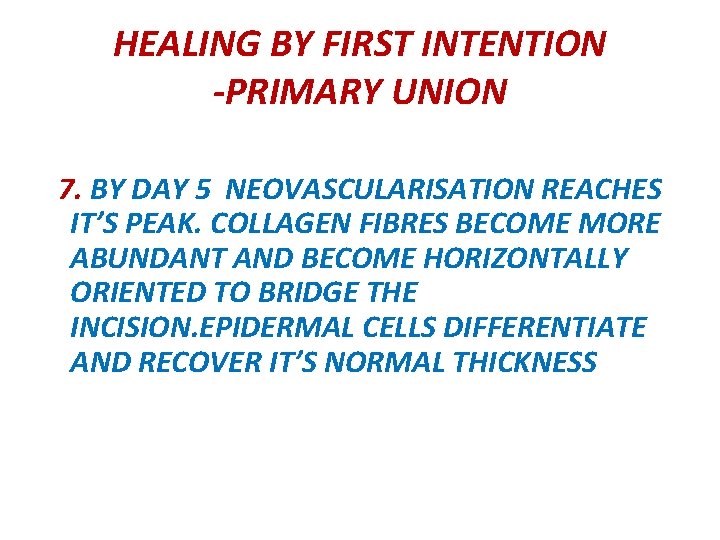 HEALING BY FIRST INTENTION -PRIMARY UNION 7. BY DAY 5 NEOVASCULARISATION REACHES IT’S PEAK.