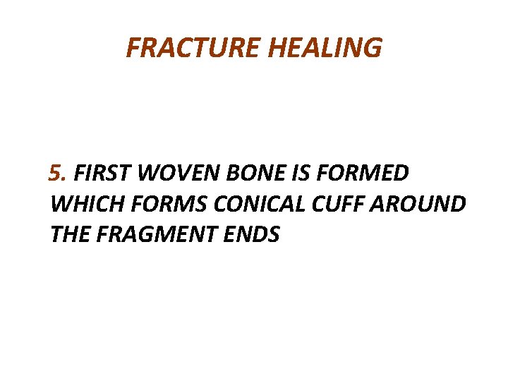 FRACTURE HEALING 5. FIRST WOVEN BONE IS FORMED WHICH FORMS CONICAL CUFF AROUND THE