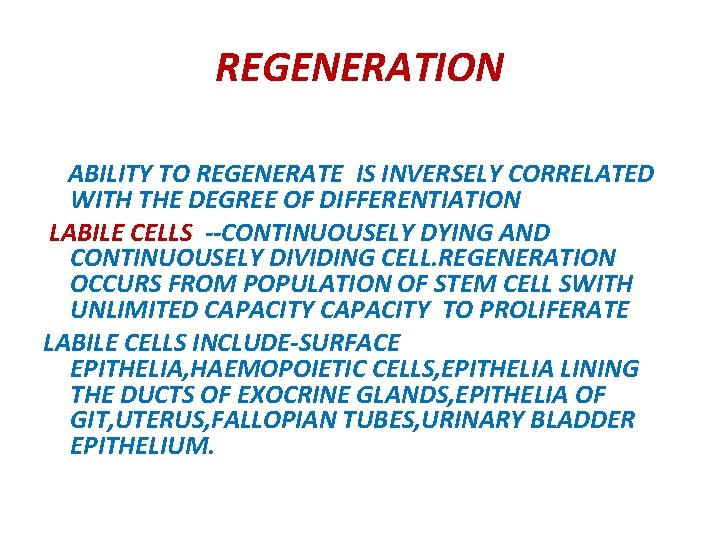 REGENERATION ABILITY TO REGENERATE IS INVERSELY CORRELATED WITH THE DEGREE OF DIFFERENTIATION LABILE CELLS