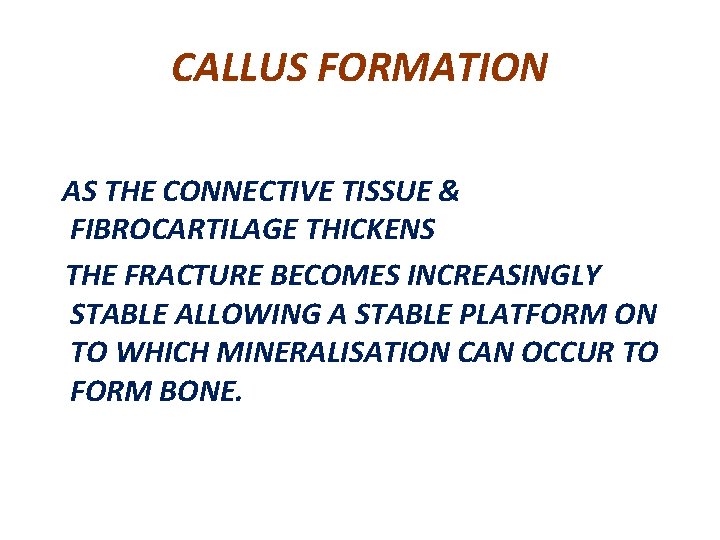 CALLUS FORMATION AS THE CONNECTIVE TISSUE & FIBROCARTILAGE THICKENS THE FRACTURE BECOMES INCREASINGLY STABLE