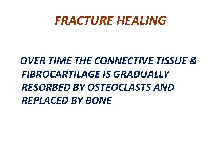 FRACTURE HEALING OVER TIME THE CONNECTIVE TISSUE & FIBROCARTILAGE IS GRADUALLY RESORBED BY OSTEOCLASTS