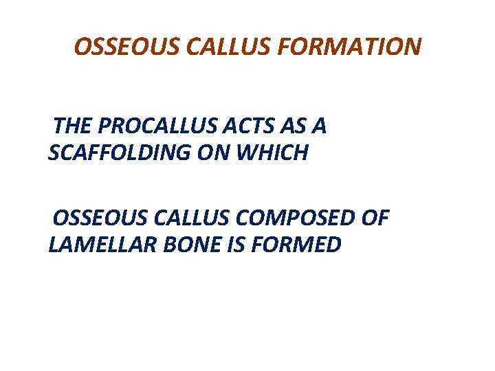 OSSEOUS CALLUS FORMATION THE PROCALLUS ACTS AS A SCAFFOLDING ON WHICH OSSEOUS CALLUS COMPOSED