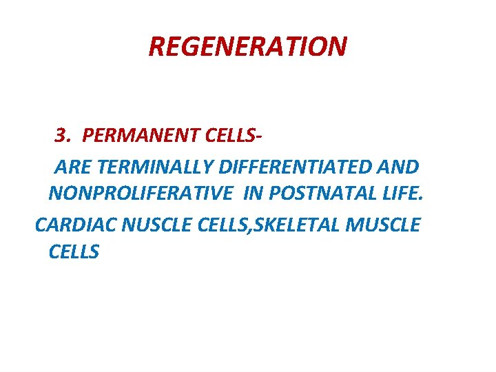 REGENERATION 3. PERMANENT CELLSARE TERMINALLY DIFFERENTIATED AND NONPROLIFERATIVE IN POSTNATAL LIFE. CARDIAC NUSCLE CELLS,