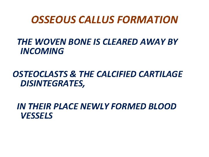 OSSEOUS CALLUS FORMATION THE WOVEN BONE IS CLEARED AWAY BY INCOMING OSTEOCLASTS & THE