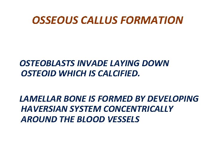 OSSEOUS CALLUS FORMATION OSTEOBLASTS INVADE LAYING DOWN OSTEOID WHICH IS CALCIFIED. LAMELLAR BONE IS