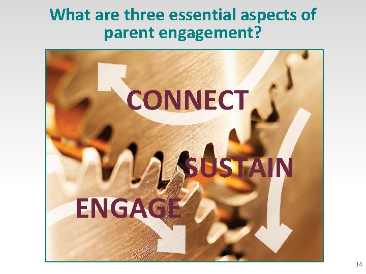 What are three essential aspects of parent engagement? CONNECT SUSTAIN ENGAGE 14 