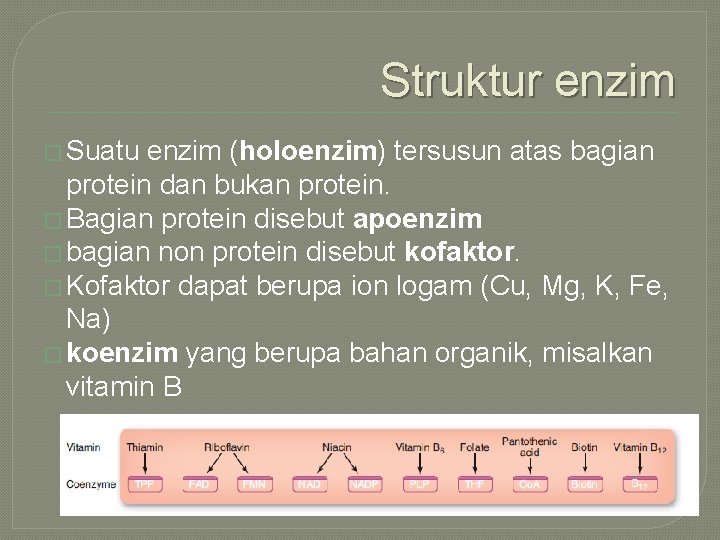 Struktur enzim � Suatu enzim (holoenzim) tersusun atas bagian protein dan bukan protein. �