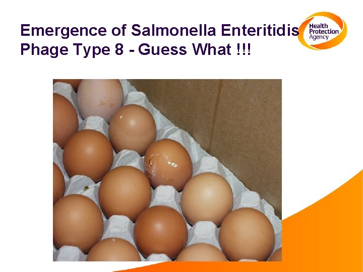 Emergence of Salmonella Enteritidis Phage Type 8 - Guess What !!! 