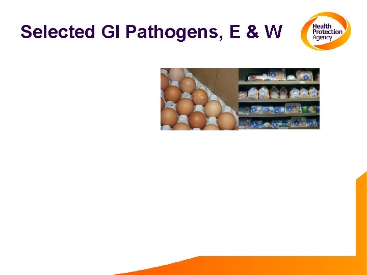 Selected GI Pathogens, E & W 