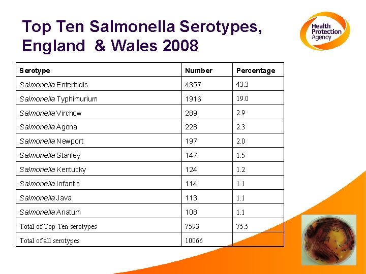 Top Ten Salmonella Serotypes, England & Wales 2008 Serotype Number Percentage Salmonella Enteritidis 4357