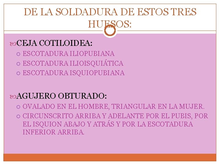 DE LA SOLDADURA DE ESTOS TRES HUESOS: CEJA COTILOIDEA: ESCOTADURA ILIOPUBIANA ESCOTADURA ILIOISQUIÁTICA ESCOTADURA