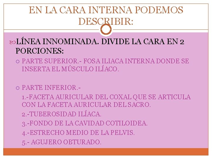 EN LA CARA INTERNA PODEMOS DESCRIBIR: LÍNEA INNOMINADA. DIVIDE LA CARA EN 2 PORCIONES:
