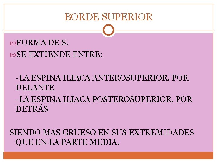 BORDE SUPERIOR FORMA DE S. SE EXTIENDE ENTRE: -LA ESPINA ILIACA ANTEROSUPERIOR. POR DELANTE