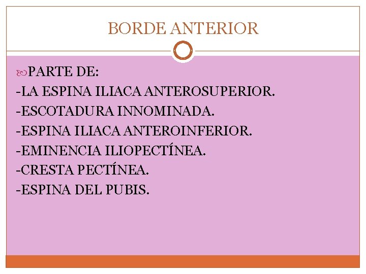 BORDE ANTERIOR PARTE DE: -LA ESPINA ILIACA ANTEROSUPERIOR. -ESCOTADURA INNOMINADA. -ESPINA ILIACA ANTEROINFERIOR. -EMINENCIA