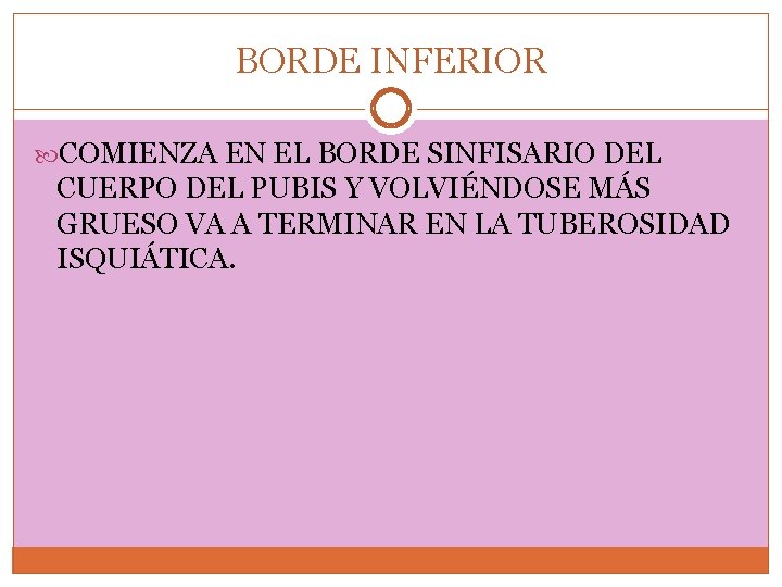 BORDE INFERIOR COMIENZA EN EL BORDE SINFISARIO DEL CUERPO DEL PUBIS Y VOLVIÉNDOSE MÁS