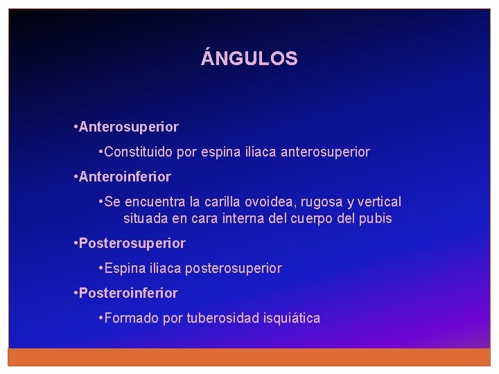 ÁNGULOS • Anterosuperior • Constituido por espina iliaca anterosuperior • Anteroinferior • Se encuentra