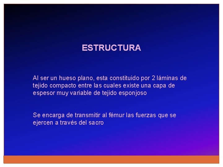 ESTRUCTURA Al ser un hueso plano, esta constituido por 2 láminas de tejido compacto
