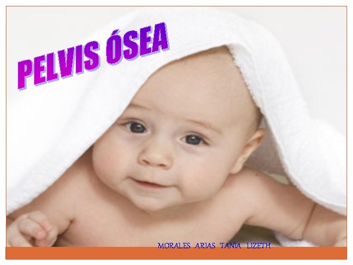 MORALES ARIAS TANIA LIZETH 