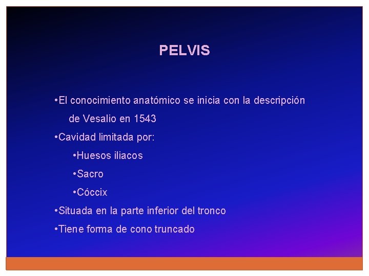 PELVIS • El conocimiento anatómico se inicia con la descripción de Vesalio en 1543