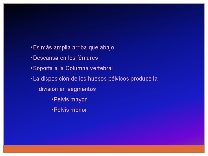  • Es más amplia arriba que abajo • Descansa en los fémures •