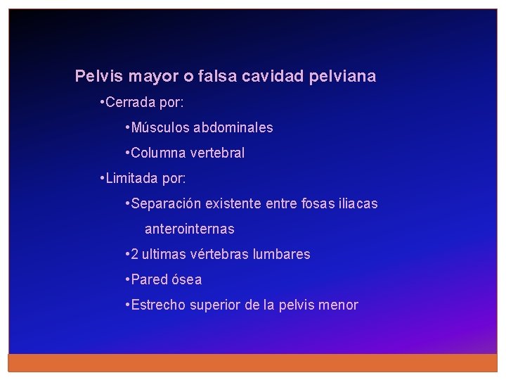 Pelvis mayor o falsa cavidad pelviana • Cerrada por: • Músculos abdominales • Columna