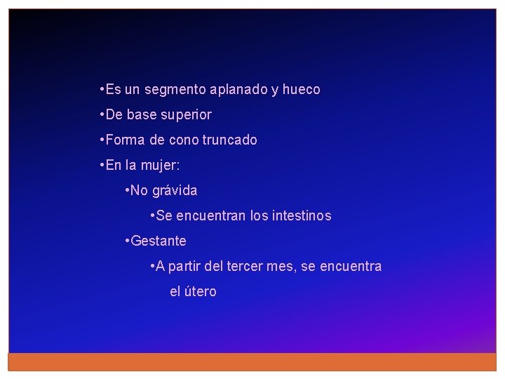  • Es un segmento aplanado y hueco • De base superior • Forma