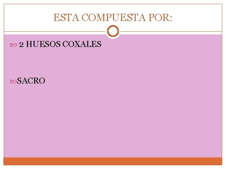 ESTA COMPUESTA POR: 2 HUESOS COXALES SACRO 