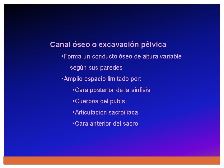 Canal óseo o excavación pélvica • Forma un conducto óseo de altura variable según