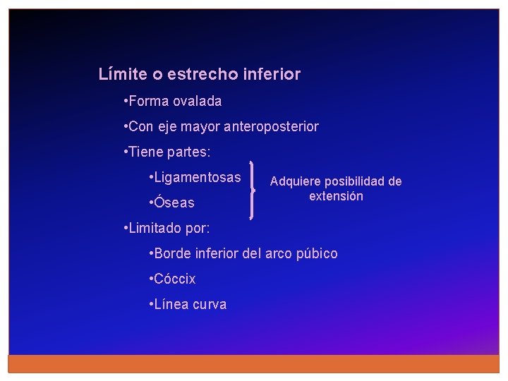 Límite o estrecho inferior • Forma ovalada • Con eje mayor anteroposterior • Tiene