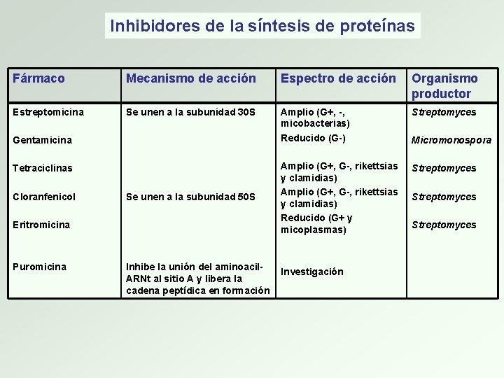 Inhibidores de la síntesis de proteínas Fármaco Mecanismo de acción Espectro de acción Organismo