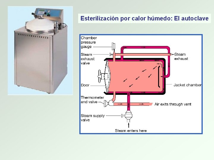 Esterilización por calor húmedo: El autoclave 