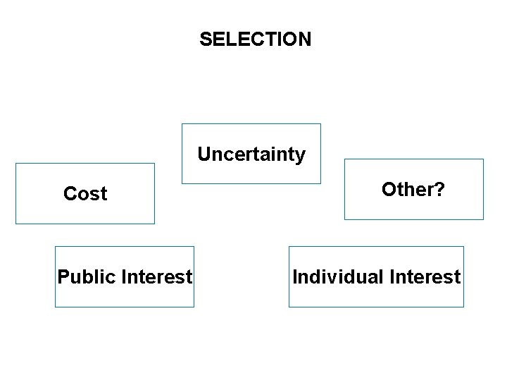 SELECTION Uncertainty Cost Public Interest SEITE 5 Other? Individual Interest 